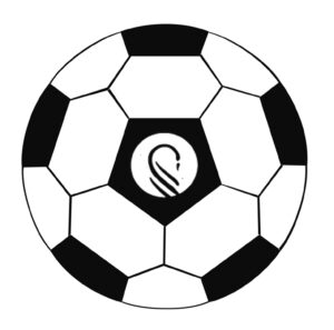 LWR Adult Soccer Club
