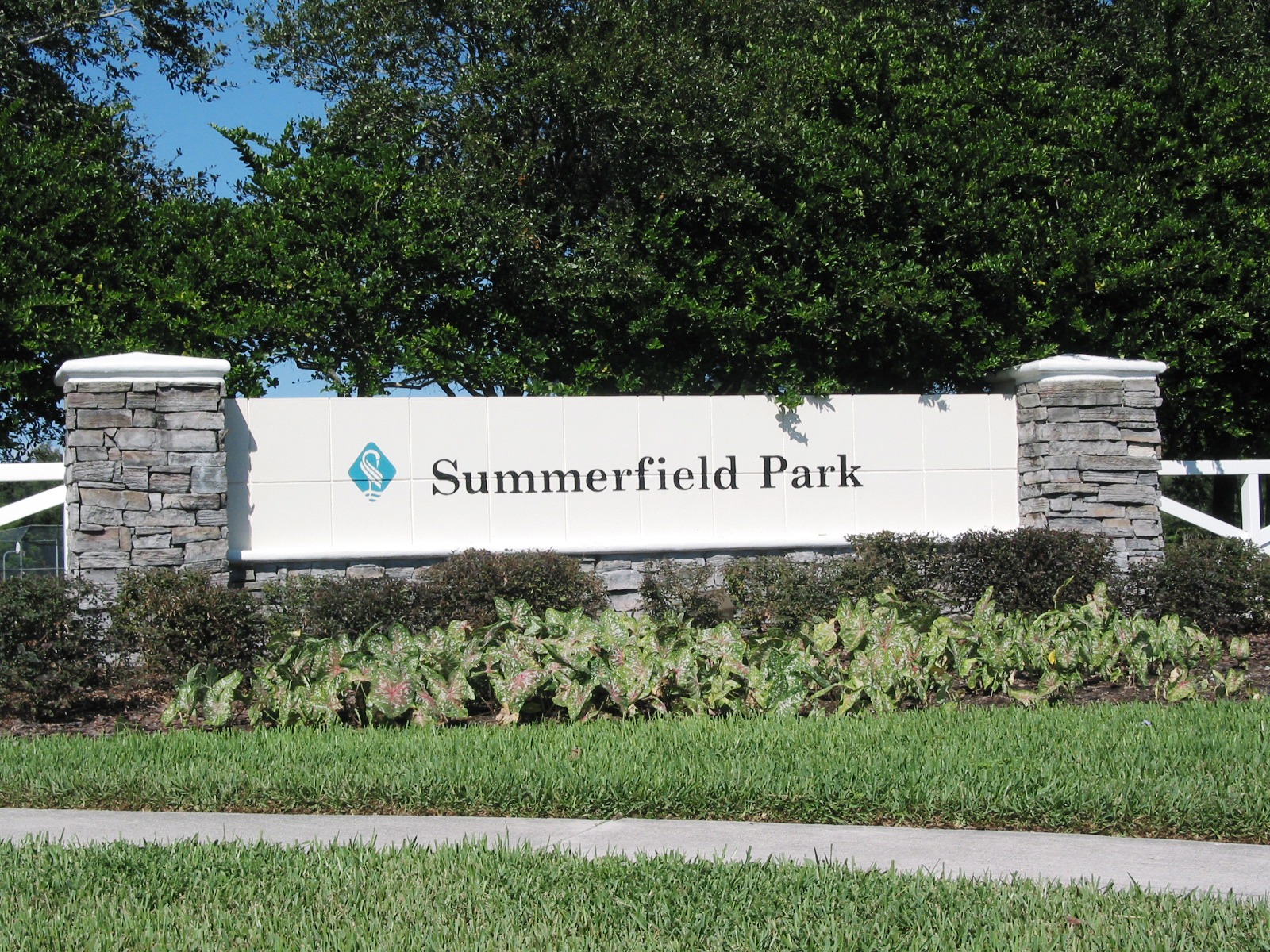 Featured image for “New Goals at Summerfield”